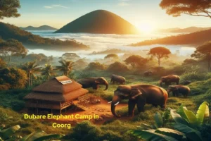 Dubare-Elephant-Camp-in-Coorg