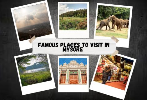 The Most Famous Places to Visit in Mysore