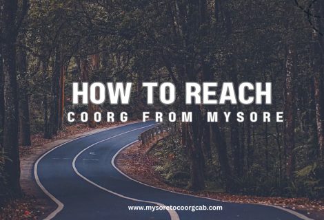 How to Reach Coorg from Mysore: A Complete Travel Breakdown