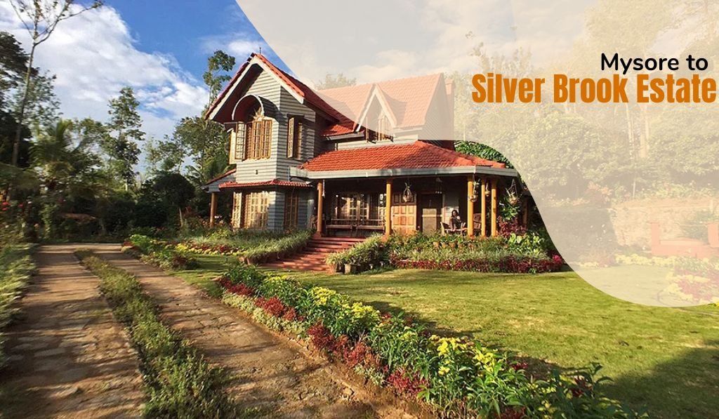 Mysore to Silver Brook Estate Coorg
